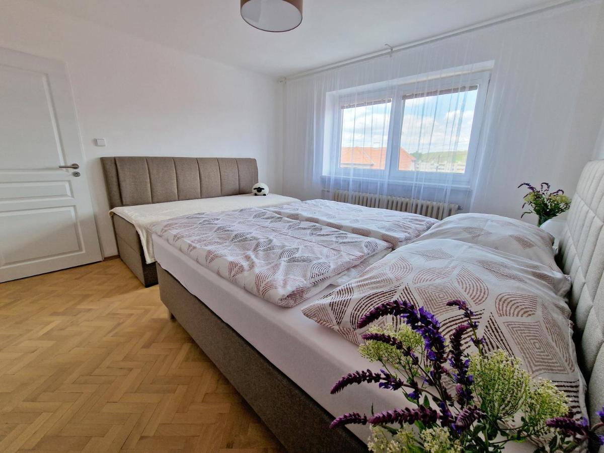 Cejkovsky Dvorek Holiday home *