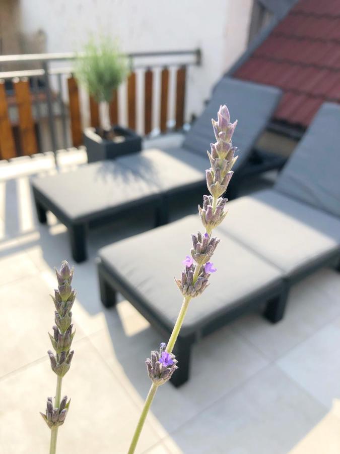 Cejkovsky Dvorek Holiday home *
