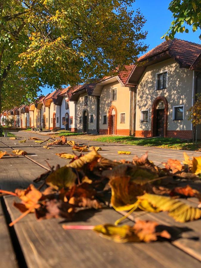 Cejkovsky Dvorek Holiday home *